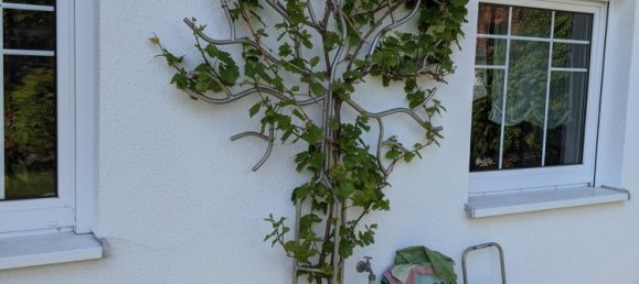 Moradia em banda T6 em Leipzig, Germany N.º 218880 5