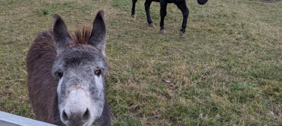 Moradia em banda T6 em Leipzig, Germany N.º 218880 13