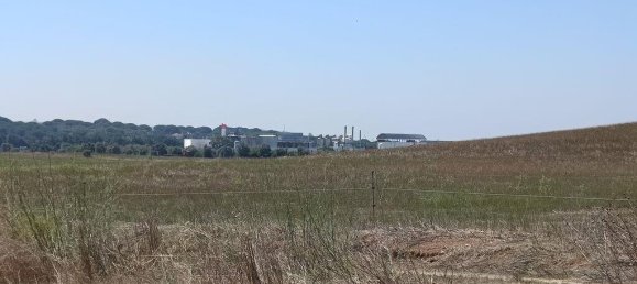 69760m² Land in Santarem, Portugal No. 144598 19