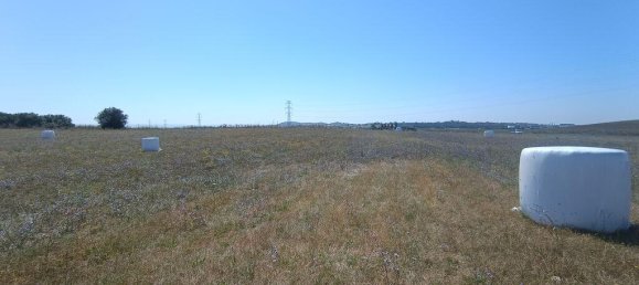 69760m² Land in Santarem, Portugal No. 144598 13