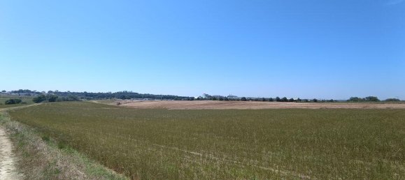 69760m² Land in Santarem, Portugal No. 144598 7