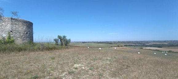 69760m² Land in Santarem, Portugal No. 144598 18