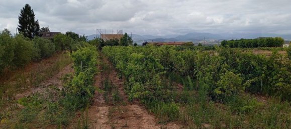 Land in La Rioja, Spain No. 170940 9