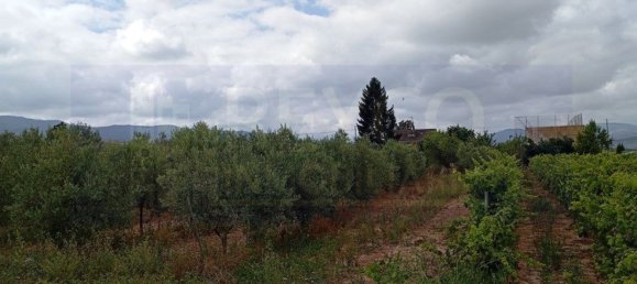 Land in La Rioja, Spain No. 170940 3