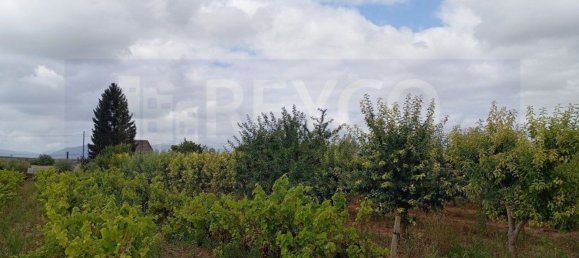 Land in La Rioja, Spain No. 170940 8
