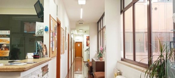 240m² Office in Terni, Italy No. 284706 11