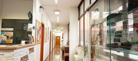 240m² Office in Terni, Italy No. 284706 14