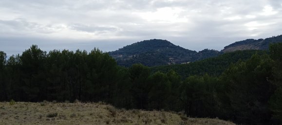 98170m² Land in Propiac, France No. 201209 4