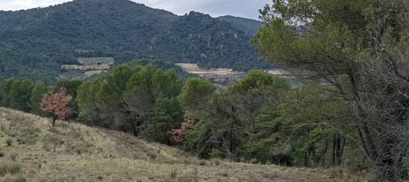 98170m² Land in Propiac, France No. 201209 2