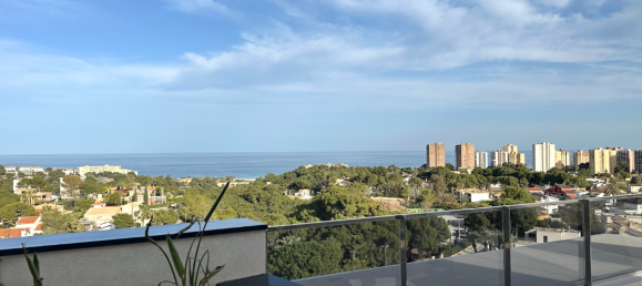 3 Schlafzimmer Wohnung in Alicante, Spain, Nr. 12736 29