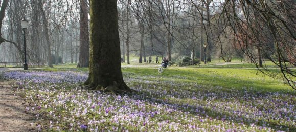 4 bedrooms Villa in Baden-Baden, Germany No. 13407 2