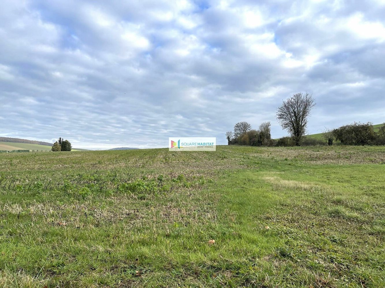 Terreno en Messon, France No. 160684