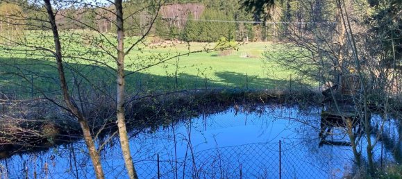  Land in Sallingberg, Austria No. 243118 9