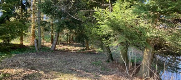  Land in Sallingberg, Austria No. 243118 22