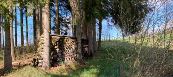  Land in Sallingberg, Austria No. 243118 25