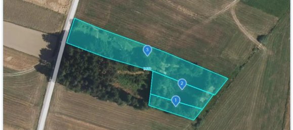  Land in Sallingberg, Austria No. 243118 28