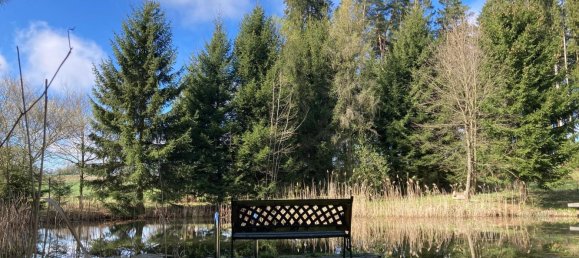  Land in Sallingberg, Austria No. 243118 5