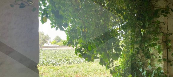 2 rooms House in Polignano a Mare, Italy No. 31314 16