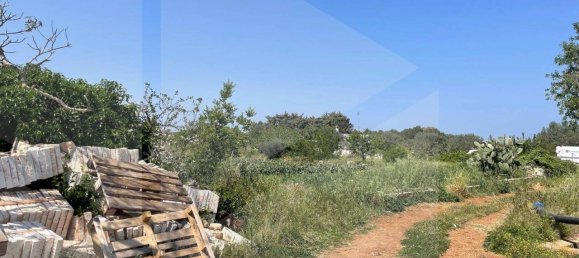 2 rooms House in Polignano a Mare, Italy No. 31314 17