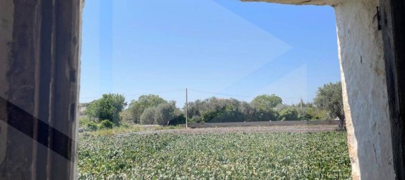 2 rooms House in Polignano a Mare, Italy No. 31314 5