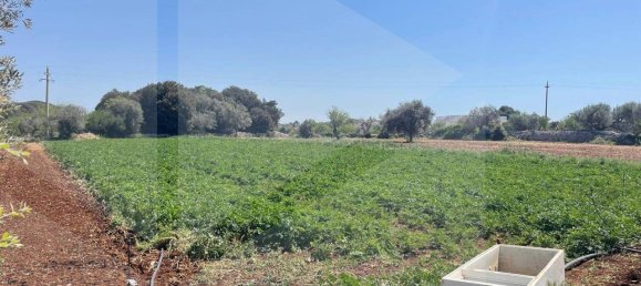 2 rooms House in Polignano a Mare, Italy No. 31314 8