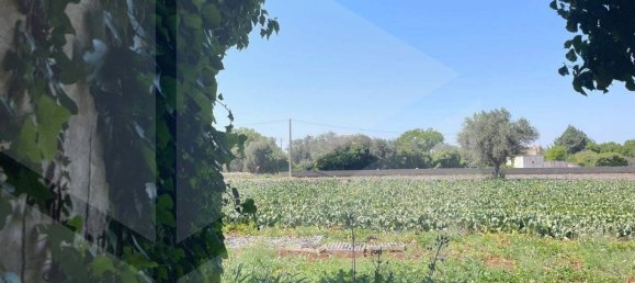 2 rooms House in Polignano a Mare, Italy No. 31314 18