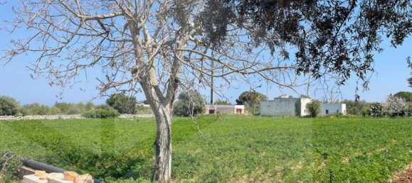 2 rooms House in Polignano a Mare, Italy No. 31314 3