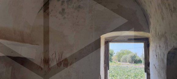 2 rooms House in Polignano a Mare, Italy No. 31314 14