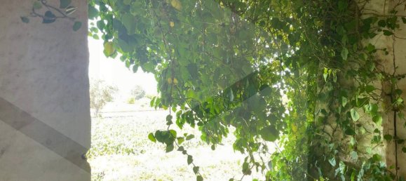 2 rooms House in Polignano a Mare, Italy No. 31314 13