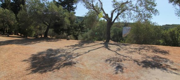 42000m² Hotel in Corfu, Greece No. 6094 5