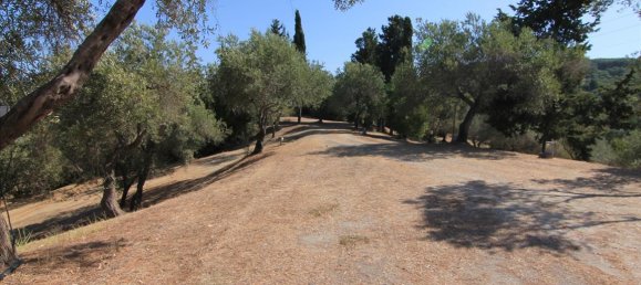 42000m² Hotel in Corfu, Greece No. 6094 4