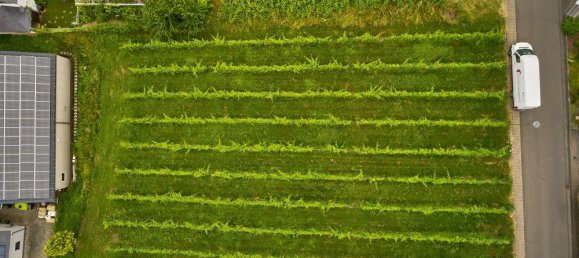 2 bedrooms Hotel in Bernkastel-Wittlich, Germany No. 189503 15