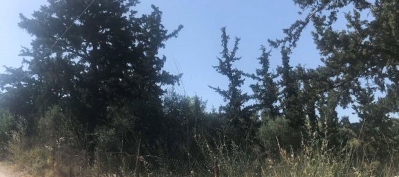 7150m² Hotel in Heraklion, Greece No. 3612 5