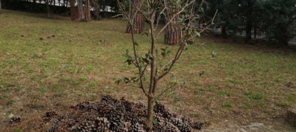 10غرفة فيلا في Penne, Italy رقم 104755 14