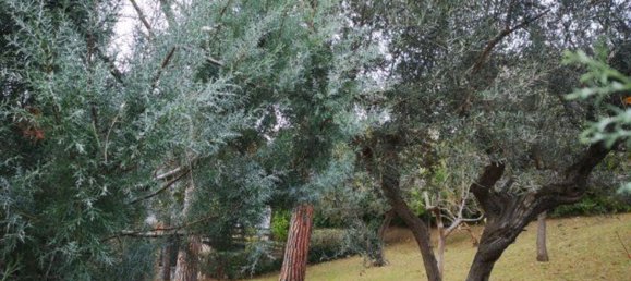 10غرفة فيلا في Penne, Italy رقم 104755 10