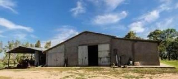 11 rooms House in Magliano in Toscana, Italy No. 32328 34