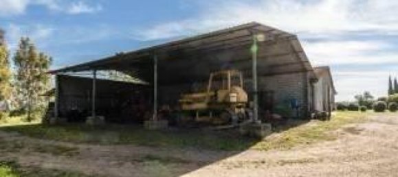 11 rooms House in Magliano in Toscana, Italy No. 32328 16