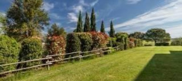 11 rooms House in Magliano in Toscana, Italy No. 32328 21