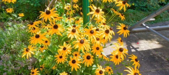 Grundstück in Wien, Austria 450m², Nr. 238070 27