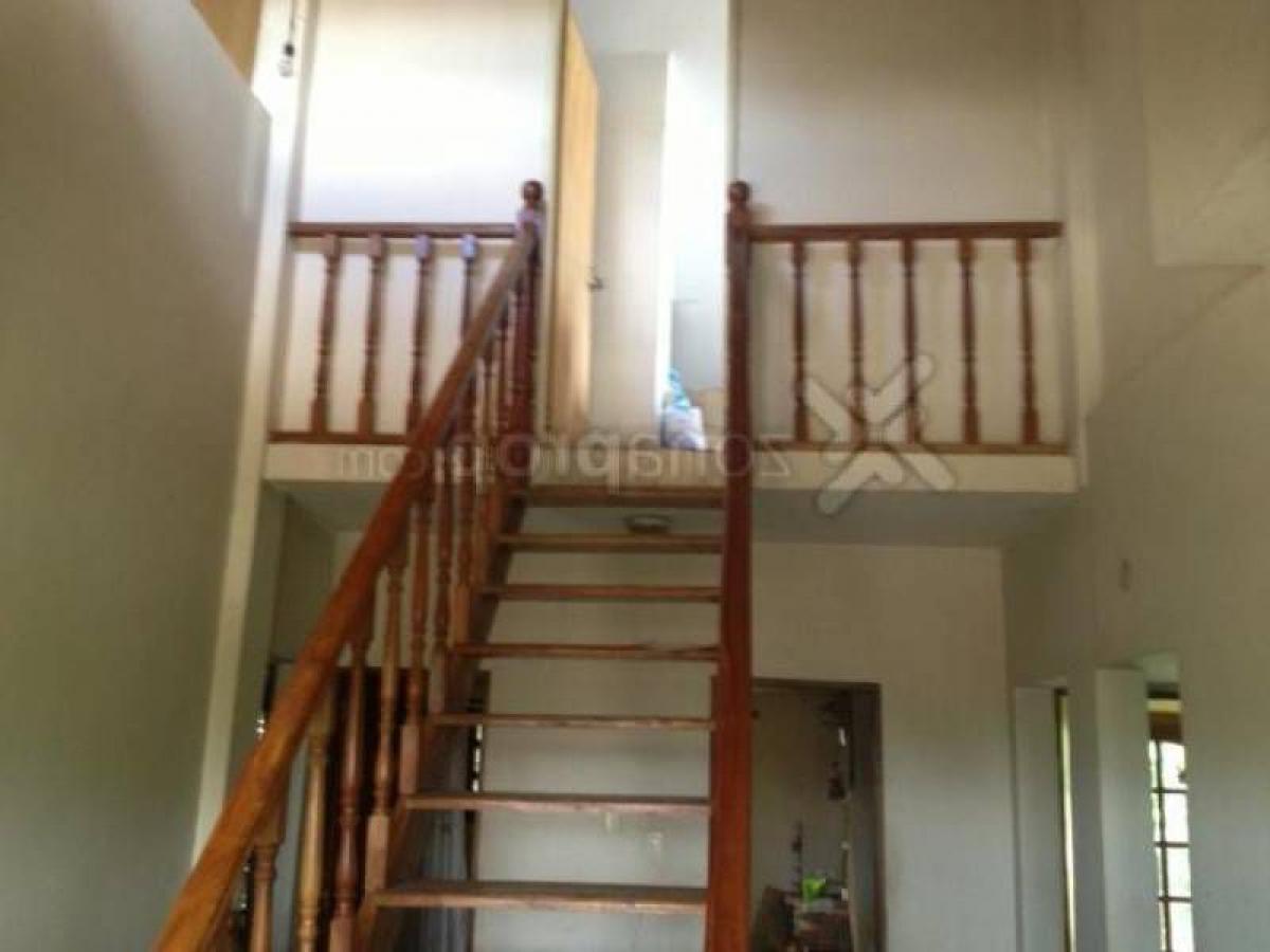 5 bedrooms House in Lomas de Zamora, Argentina No. 63609