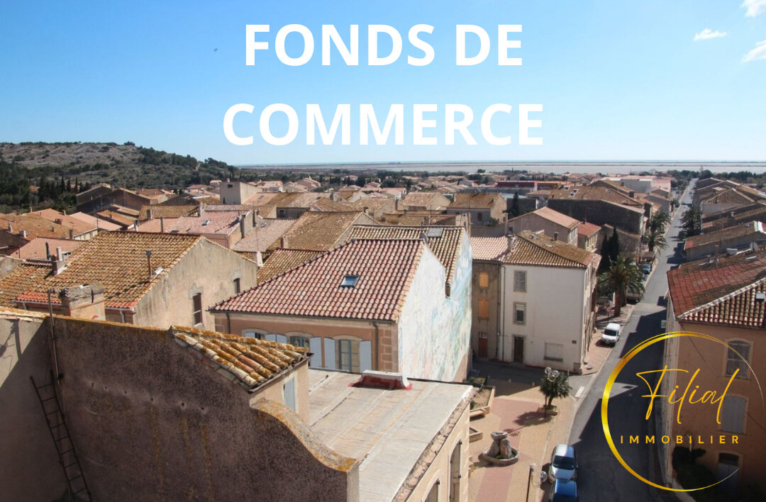 71m² Commercial property in La Palme, France No. 292441