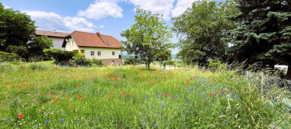 Land in Klosterneuburg, Austria No. 165736 2