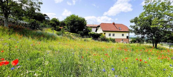 Land in Klosterneuburg, Austria No. 165736 4