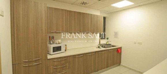 Gewerbliche Immobilie in Saint Julian's, Malta 500m², Nr. 11840 11