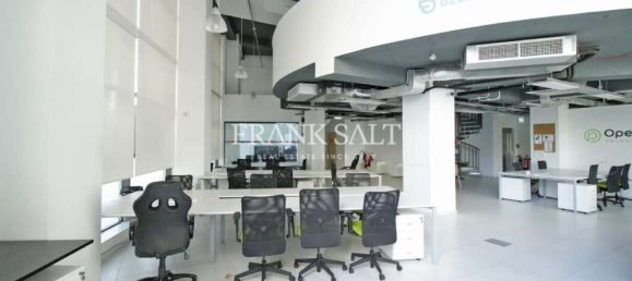 Gewerbliche Immobilie in Saint Julian's, Malta 500m², Nr. 11840 3