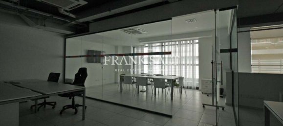 Gewerbliche Immobilie in Saint Julian's, Malta 500m², Nr. 11840 10