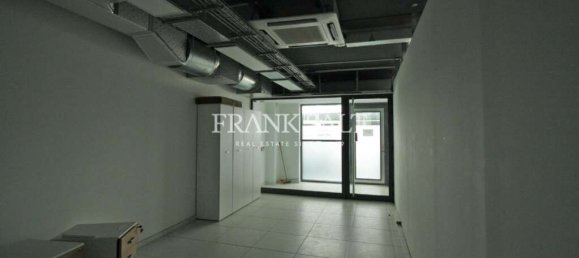 Gewerbliche Immobilie in Saint Julian's, Malta 500m², Nr. 11840 5