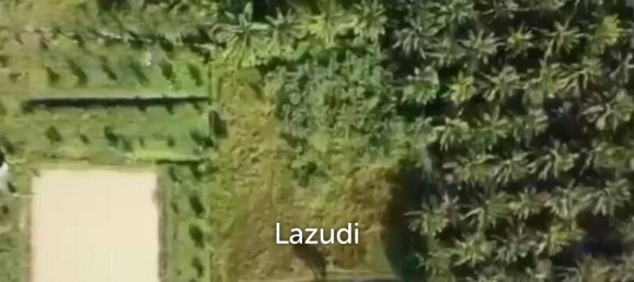  Commercial property in Nakhon Si Thammarat, Thailand No. 14283 10