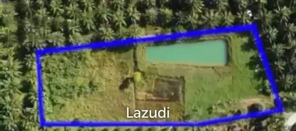  Commercial property in Nakhon Si Thammarat, Thailand No. 14283 6