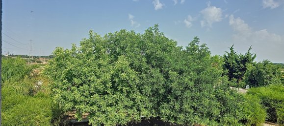 4 Schlafzimmer Haus in Palmela, Portugal, Nr. 352673 21